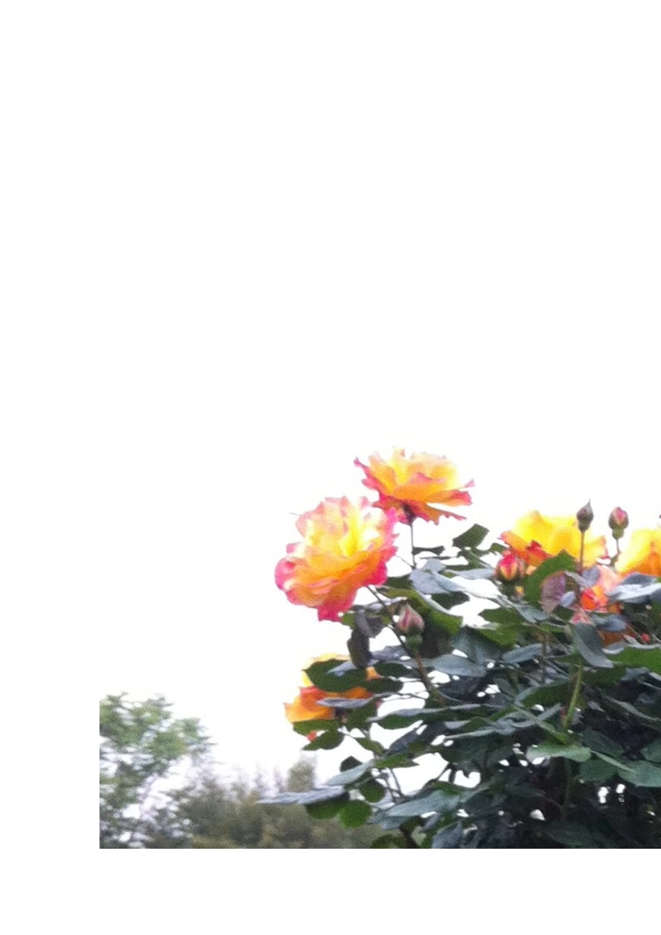 体验式作业设计《春风吹》_第2页