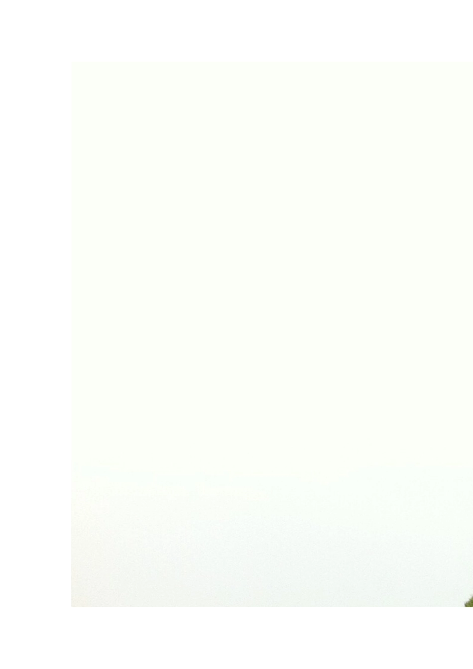 体验式作业设计《春风吹》_第3页