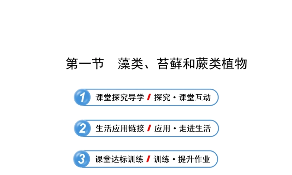 藻类苔藓蕨类