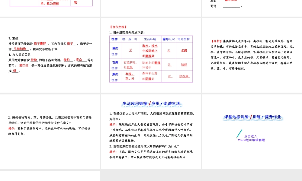 藻类苔藓蕨类