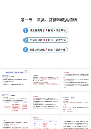 藻类苔藓蕨类