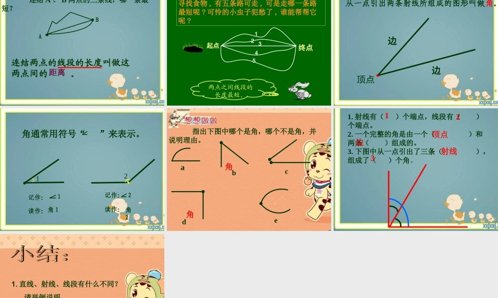 (苏教版)四年级数学上册课件_直线、射线和角