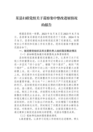 某县妇联党组关于巡察集中整改进展情况的报告