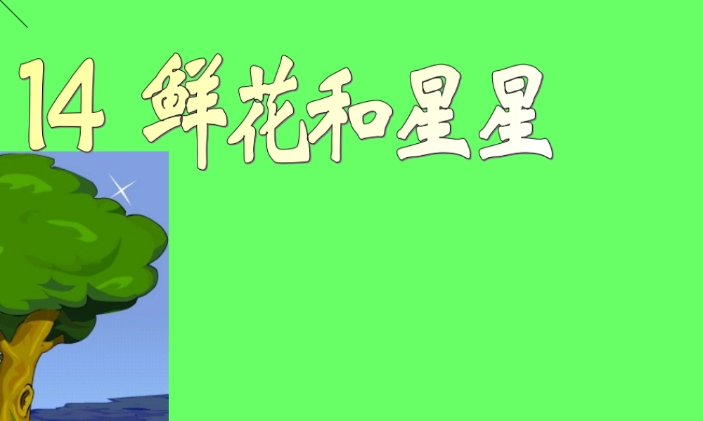 鲜花和星星课件