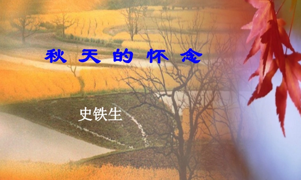秋天的怀念课件