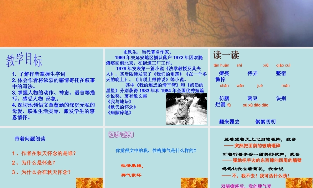 秋天的怀念课件