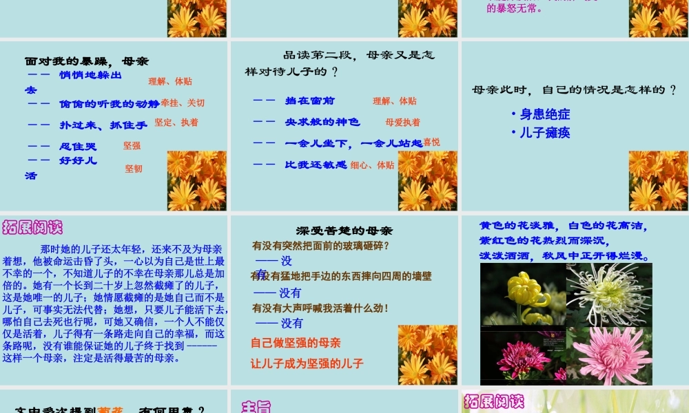 秋天的怀念课件