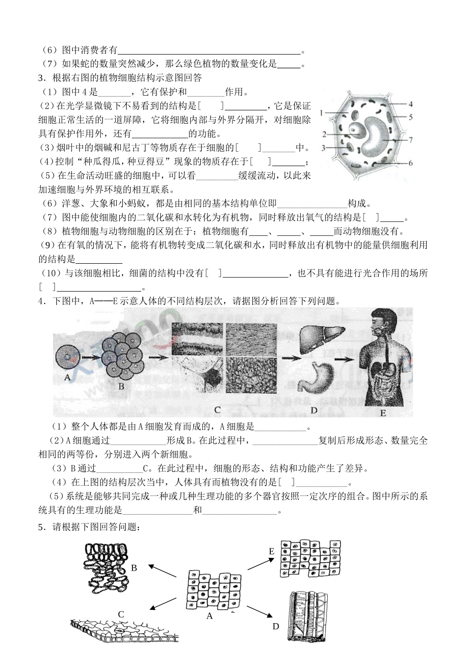 初二生物会考复习——填图题_第2页