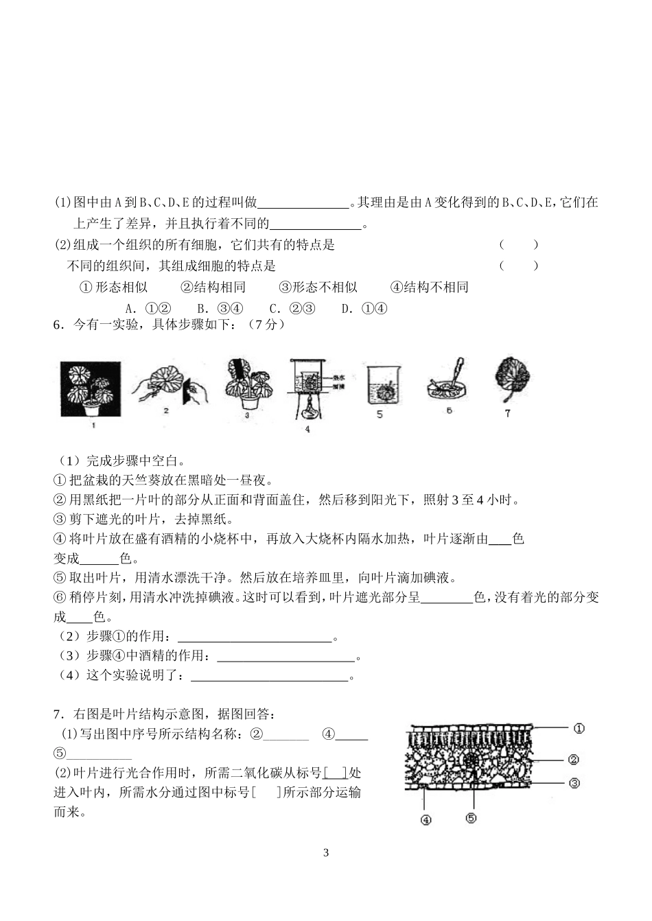 初二生物会考复习——填图题_第3页