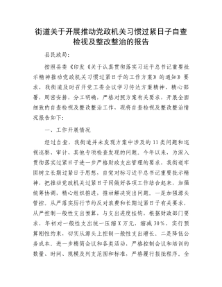 街道关于开展推动党政机关习惯过紧日子自查检视及整改整治的报告