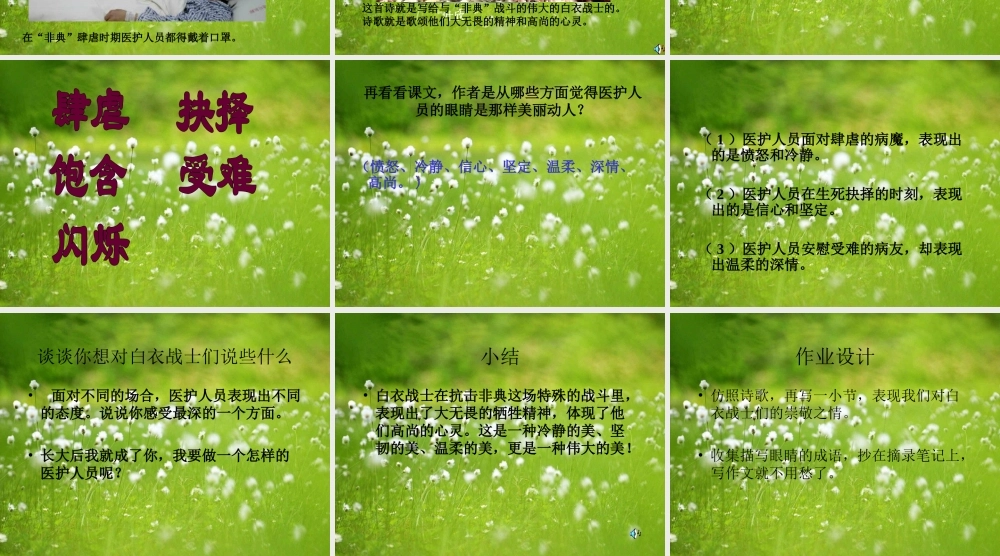 北师大版小学语文四年级下册《我只看见你的眼睛》课件