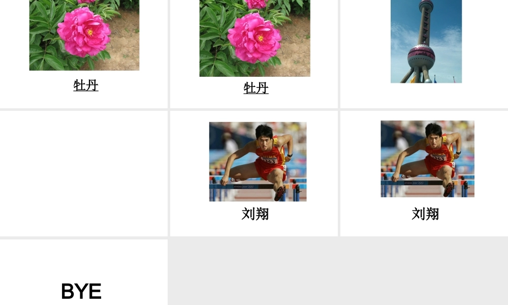 大班综合课件：猜猜乐