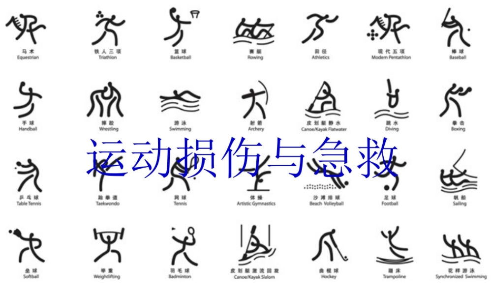 体育室内课件_运动损伤--