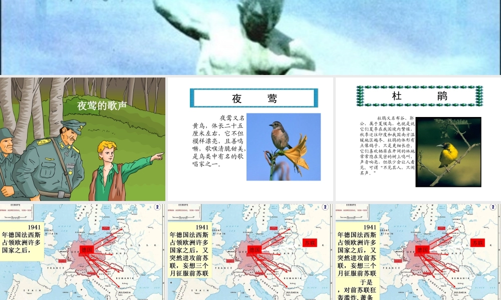夜莺的歌声课件
