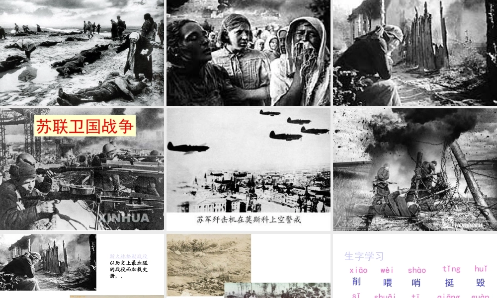 夜莺的歌声课件