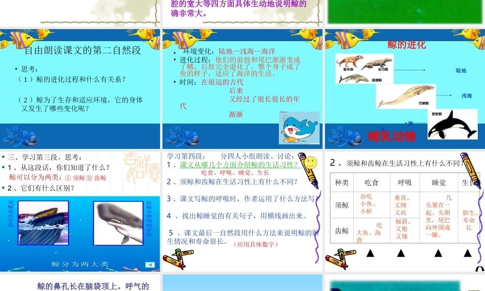 《鲸》公开课