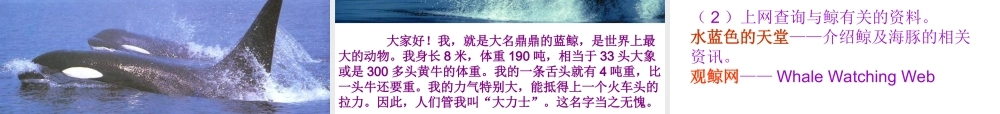 《鲸》公开课