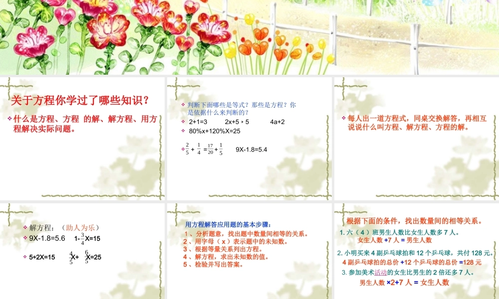 方程的整理与复习