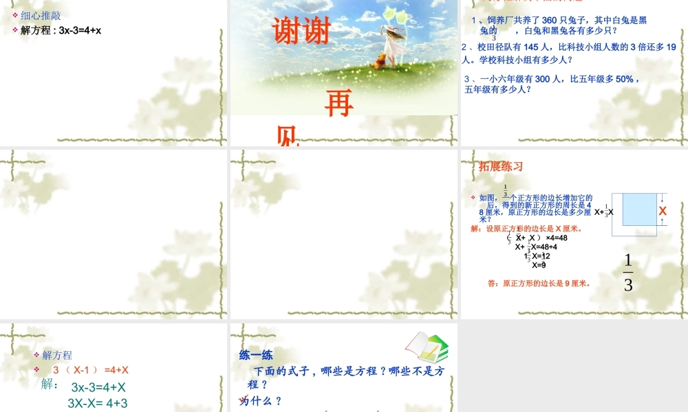方程的整理与复习