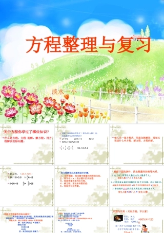 方程的整理与复习
