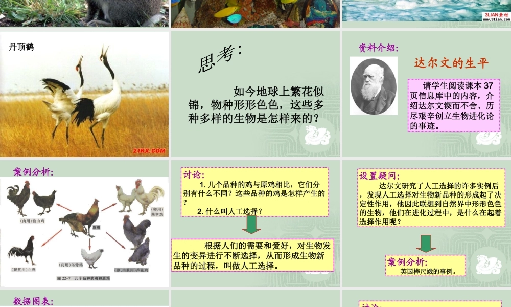 生物进化的原因