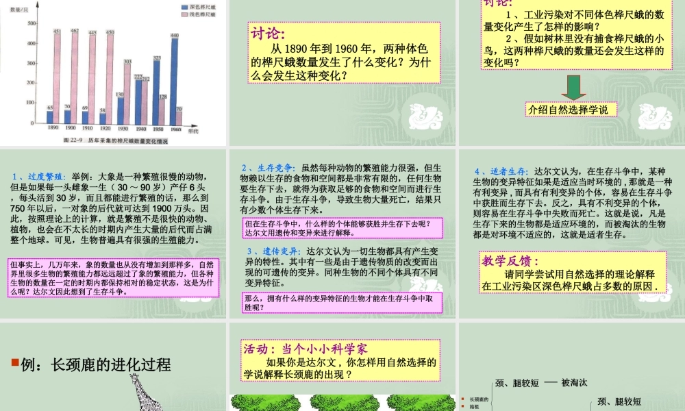 生物进化的原因