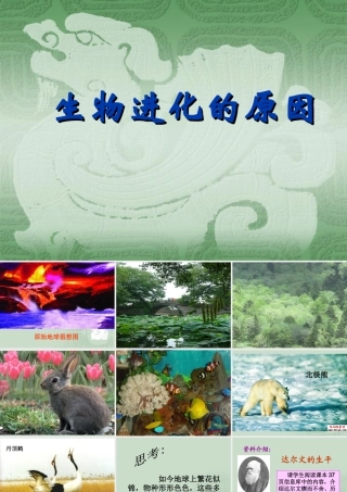 生物进化的原因