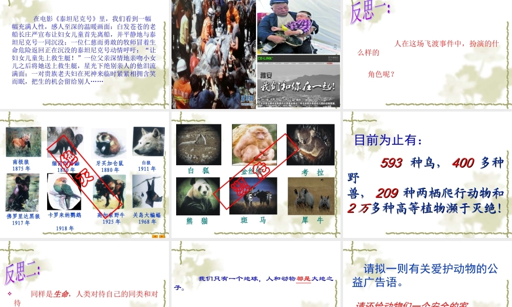 斑羚飞渡PPT课件