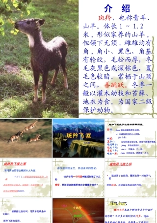 斑羚飞渡PPT课件