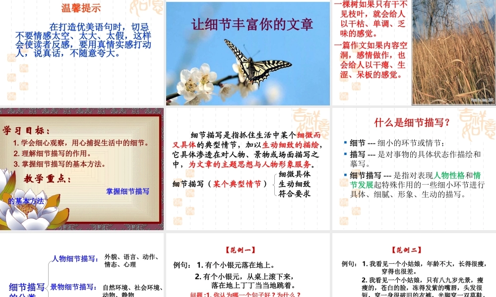 作文细节描写_课件