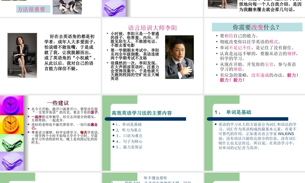 （精品）英语学习方法讲座