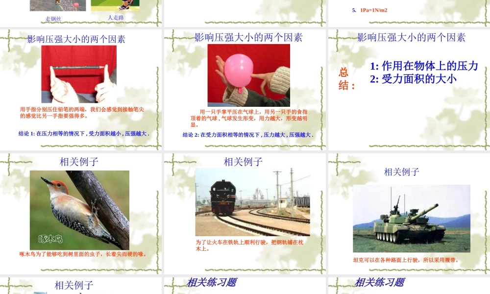 压强复习公开课