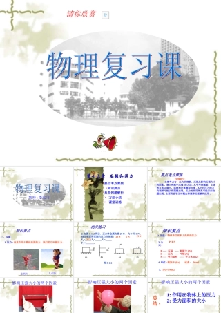 压强复习公开课