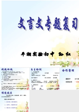 文言文专题复习