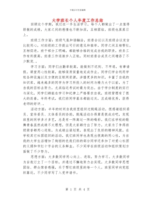 大学班长个人年度工作总结