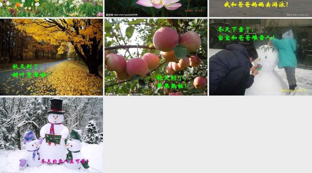 实验幼儿园中班《认识四季》利洁红