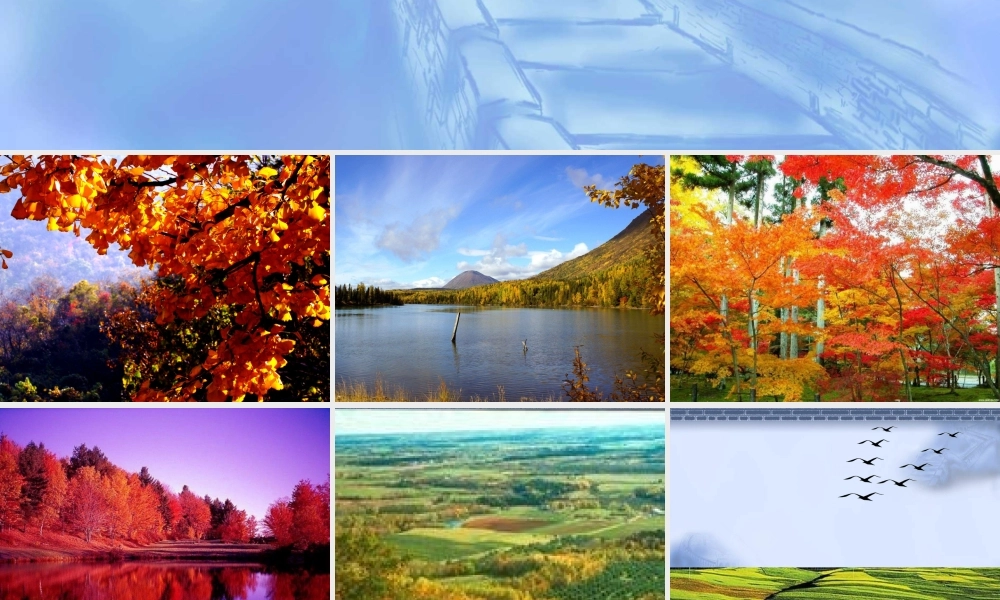 人教版二年级语文《语文园地一口语交际》