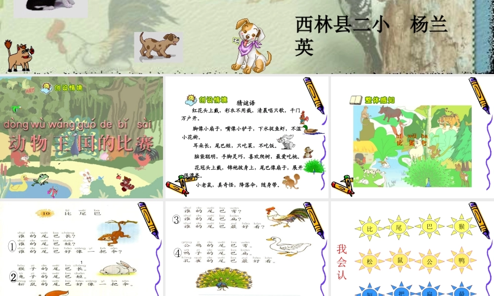 杨兰英小学一年级上册语文第十课《比尾巴》说课课件