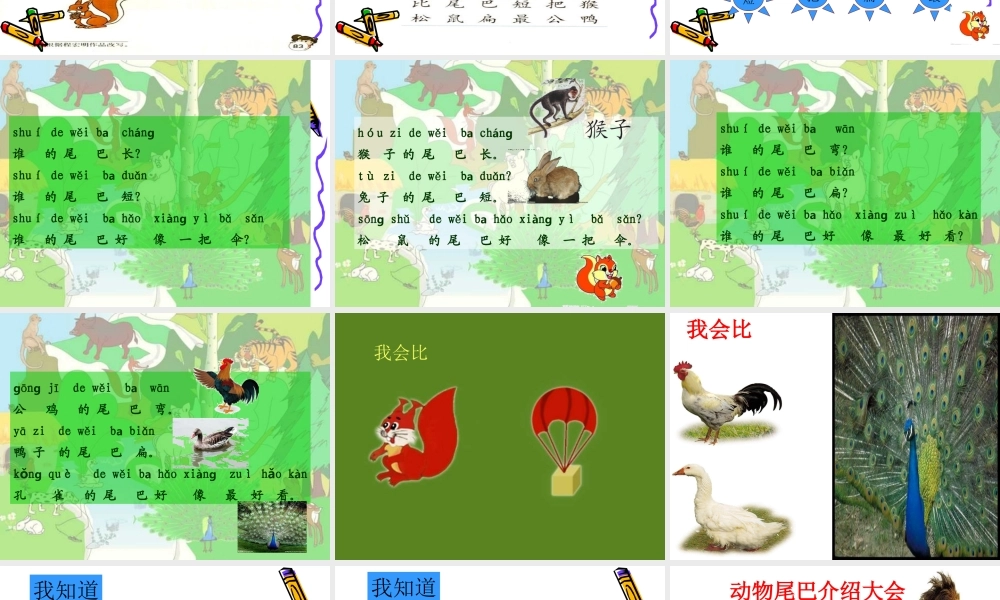 杨兰英小学一年级上册语文第十课《比尾巴》说课课件