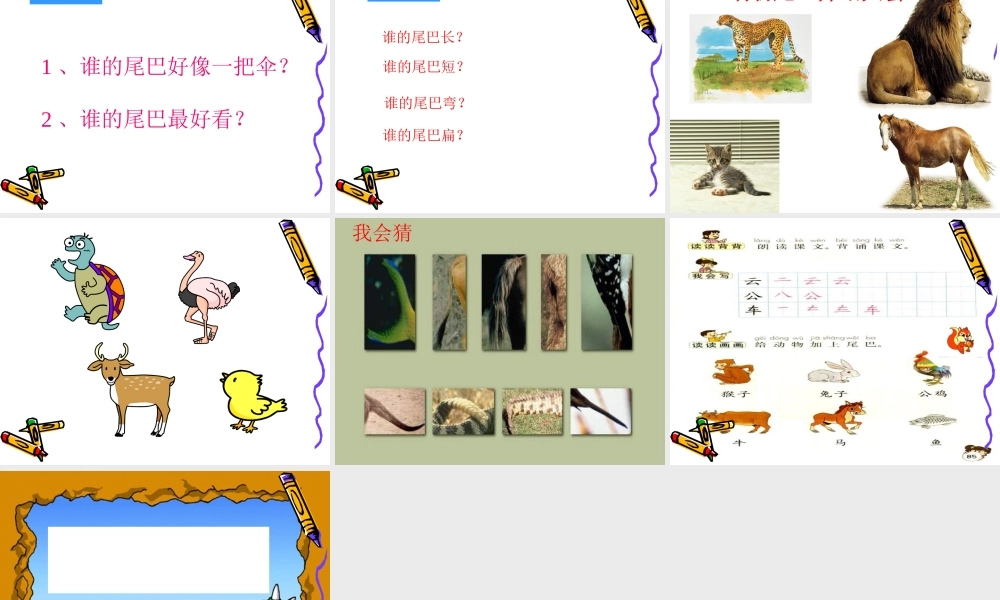 杨兰英小学一年级上册语文第十课《比尾巴》说课课件