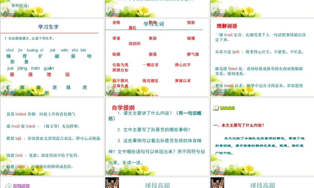 北师大版六年级语文上册《把掌声分给她一半》课件