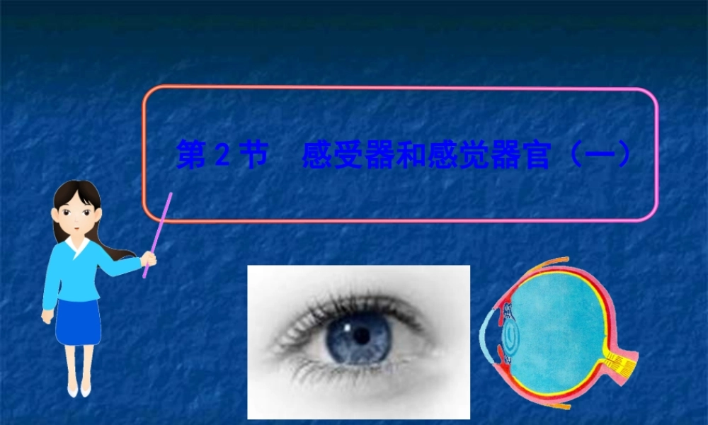 《感受器和感觉器官》课件