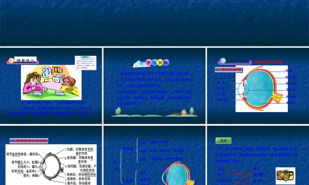 《感受器和感觉器官》课件