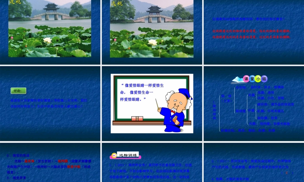 《感受器和感觉器官》课件