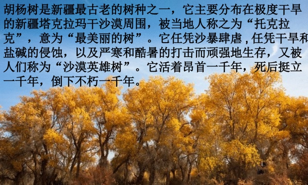 荒漠化的危害与治理