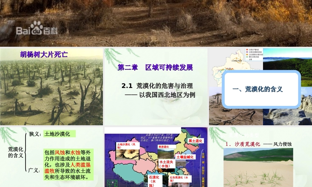 荒漠化的危害与治理