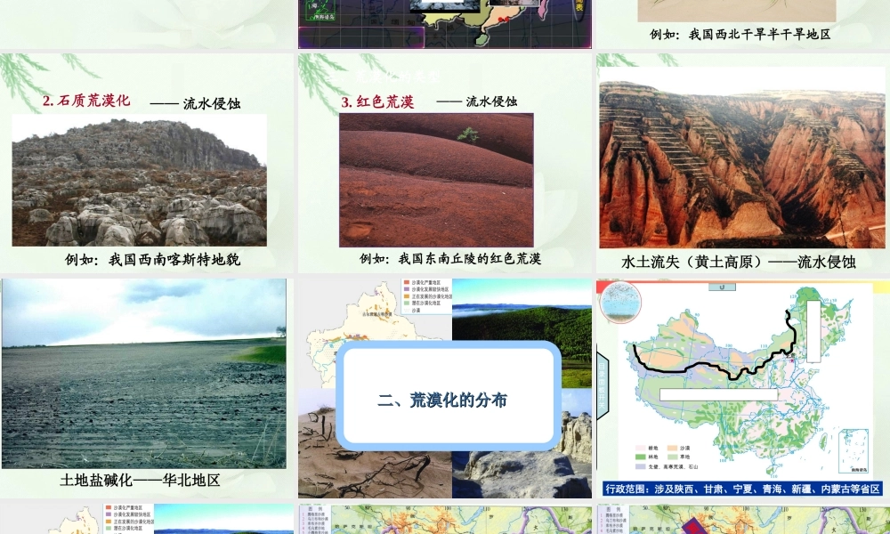 荒漠化的危害与治理