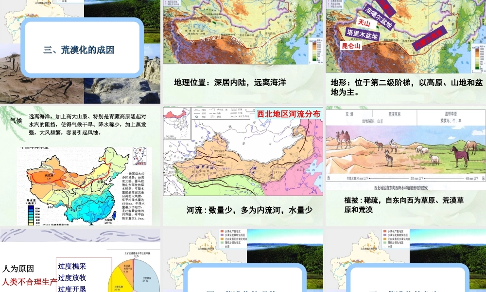 荒漠化的危害与治理