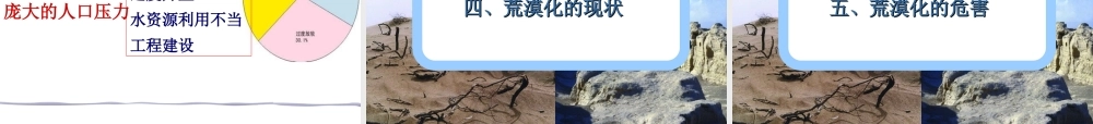 荒漠化的危害与治理