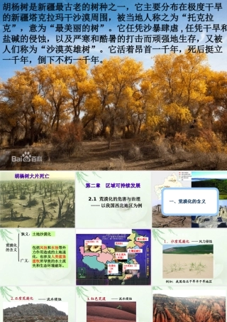 荒漠化的危害与治理